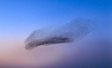 FME Inspiration Day 2026, jeudi 4 juin à Wavre