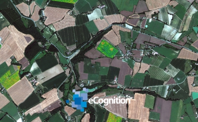 eCognition