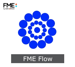 FME Flow (Server)