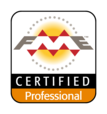 FME professional